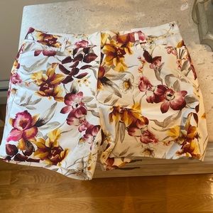 Floral White House Black Market Shorts